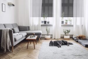 A living room with a dog laying on the floor.