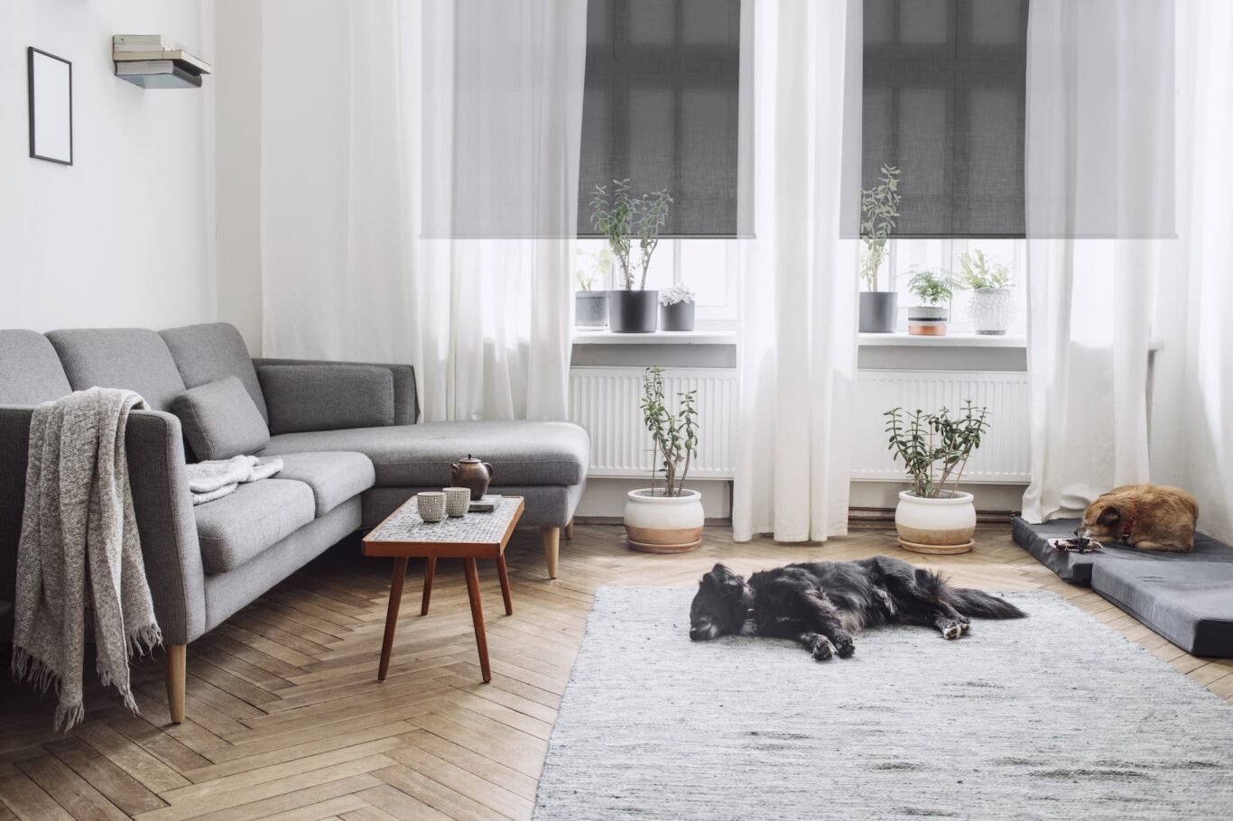 A living room with a dog laying on the floor.